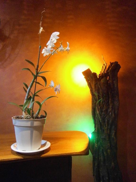 Parahyba Hostel João Pessoa Екстериор снимка